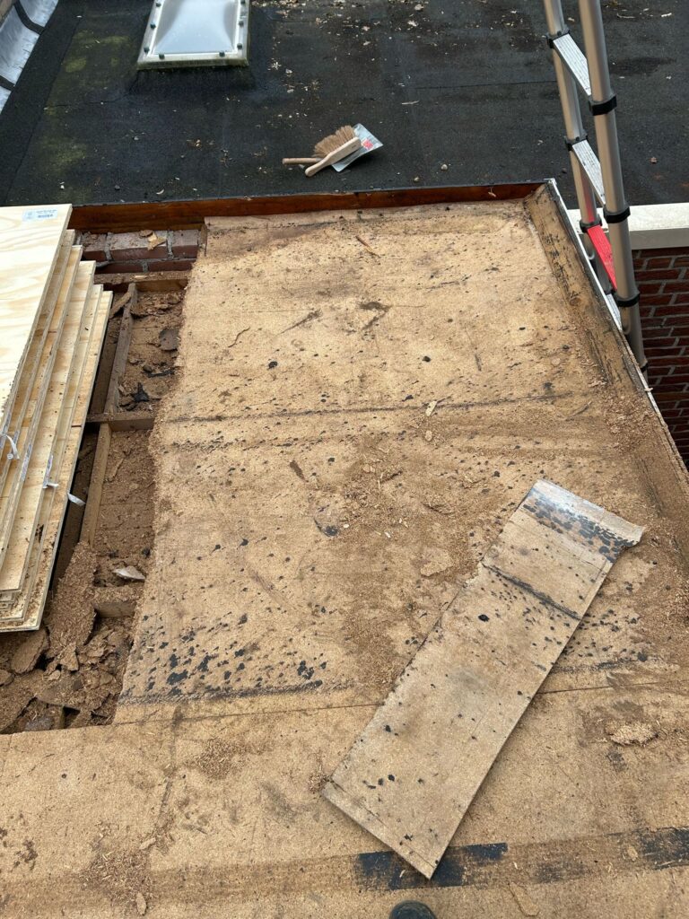 8f95fa21-b438-4143-9ac6-531fe77a5de3