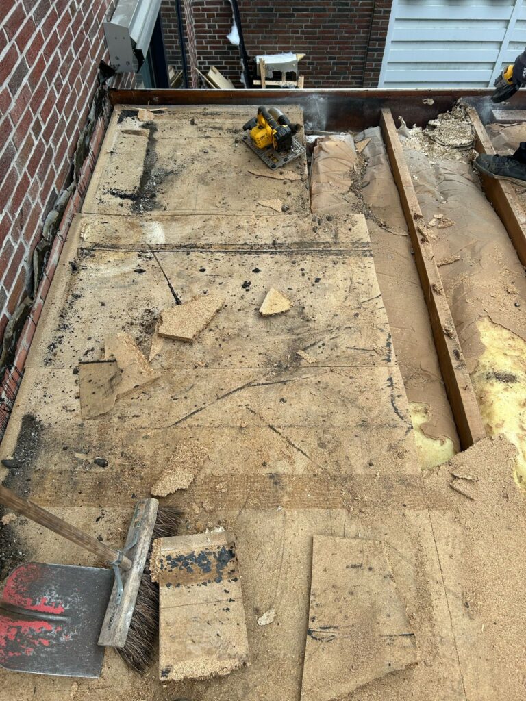 f7e61137-934e-4e9a-9eea-22d1b0238c70 (1)